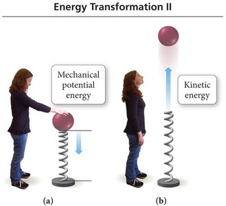 Energy transformation: mechanical potential to kinetic energy