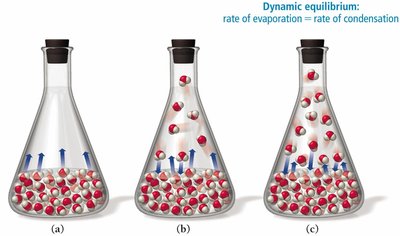 Dynamic equilibrium in a sealed flask