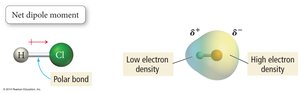 Polar molecule example: HCl