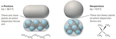 Comparison of boiling points for pentane and 2,2-dimethylpropane