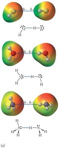 Hydrogen bond formation