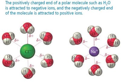 Ion-dipole interaction with water molecules