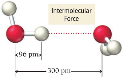 Diagram showing intermolecular force between water molecules