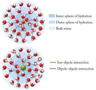 Ion-dipole interaction with water molecules