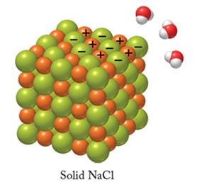 Ion-dipole interaction with water molecules