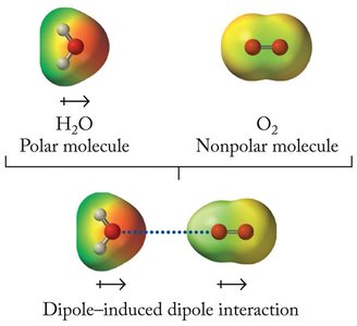 Induced dipole interaction