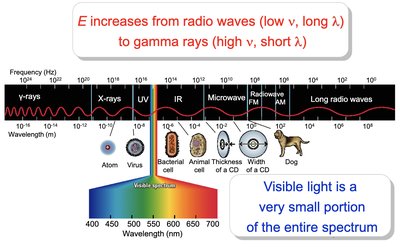 Electromagnetic spectrum with visible light highlighted