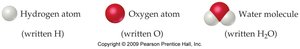 Hydrogen atom, oxygen atom, and water molecule representation