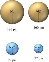 Comparison of atomic and ionic radii for Na and Mg