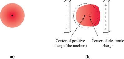 Diagram showing polarization of an atom in an electric field