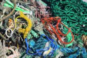 Plastic debris (Great Pacific Garbage Patch)