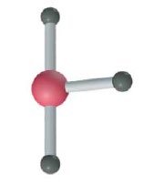 T-shaped structure