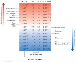 pH, pOH, [H+], and [OH-] relationships and examples