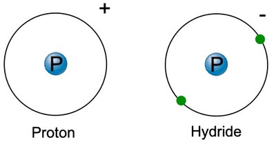 Hydrogen ions: Proton and Hydride