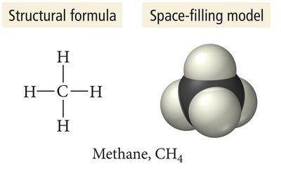 Combustion analysis apparatus