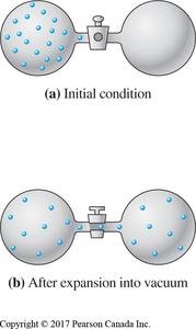 Gas expansion into vacuum: initial and final conditions