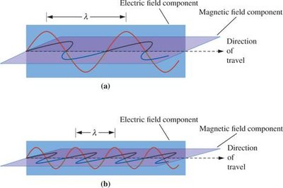 Electromagnetic waves: electric and magnetic field components