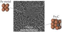 Heterogeneous alloy structure