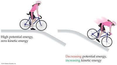 Cyclist illustrating conversion between potential and kinetic energy