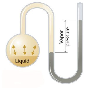 Vapor pressure at equilibrium