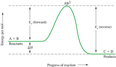 Energy profile of a chemical reaction