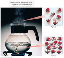 Water boiling: physical change