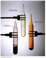 Halogens: chlorine, bromine, iodine