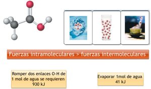 Comparación de energía requerida para romper enlaces intramoleculares e intermoleculares en agua