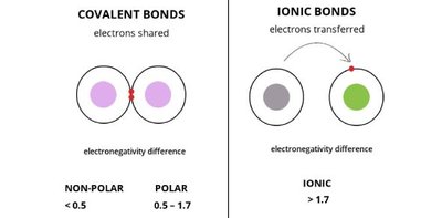 Comparison of covalent and ionic bonds