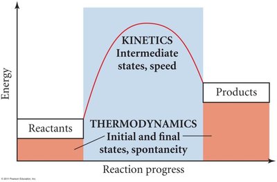 Energy diagram showing thermodynamics and kinetics