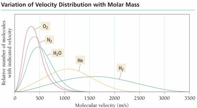 Variation of velocity distribution with molar mass