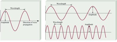 Diagram showing wavelength and amplitude of waves
