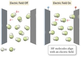 HF molecules align with an electric field