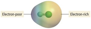 Electron density map showing electron-rich and electron-poor regions