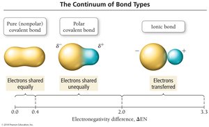 The continuum of bond types based on electronegativity difference