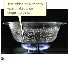 Heat added by burner to water