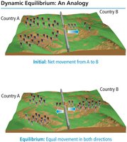 Dynamic equilibrium analogy: movement between two countries