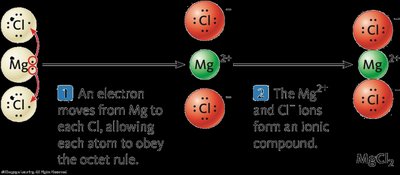 Formation of MgCl2 from Mg and Cl