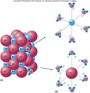 Solvation of NaCl in water