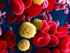 Ejemplo de buffer biológico
