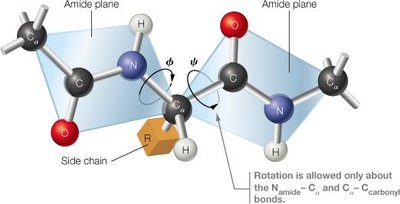 Alpha helix structure