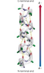 Beta sheet structure