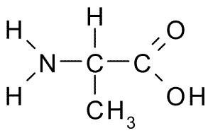Structure of alanine, an amino acid