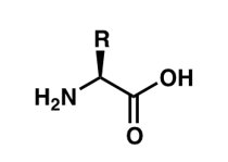 Peptide bond planarity and resonance