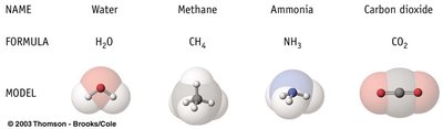 Models of water, methane, ammonia, and carbon dioxide molecules