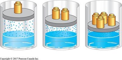 Illustration of Henry's Law and gas solubility