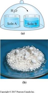 Osmosis diagram