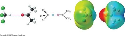 Molecular models showing intermolecular forces in a nonideal solution