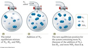 Effect of adding N2 to an equilibrium mixture