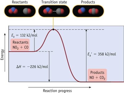 Reaction coordinate diagram showing activation energy and transition state